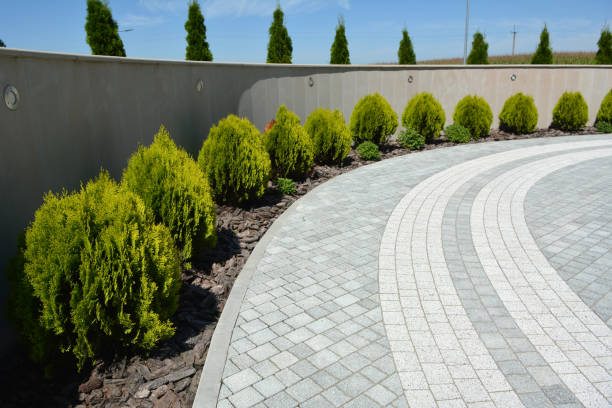 Best Affordable Driveway Paving  in Mount Hermon, CA